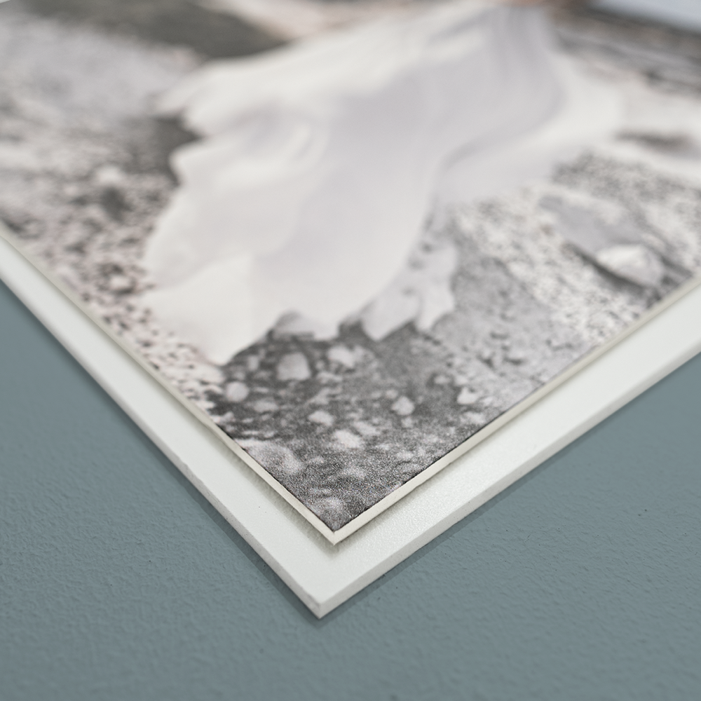 Forex Photo Print